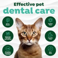 TropiClean Fresh Breath Cat Dental Kit -Furry Friends 218553 PT4. AC SS1800 V1684607836