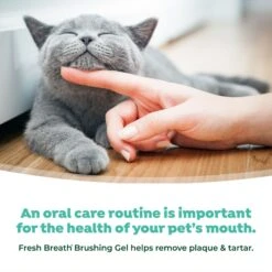 TropiClean Fresh Breath Cat Dental Kit -Furry Friends 218553 PT6. AC SS1800 V1684524570