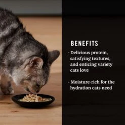 American Journey Landmark Broths Chicken, Carrots & Pumpkin Recipe Wet Cat Food Complement Pouches, 1.4 Oz Case Of 16 -Furry Friends 219434 PT3. AC SS1800 V1608268361