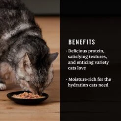 American Journey Landmark Broths Salmon, Tomatoes & Kale Recipe Wet Cat Food Complement Pouches, 1.4 Oz Case Of 16 14 American Journey Landmark Broths Salmon, Tomatoes & Kale Recipe Wet Cat Food Complement Pouches, 1.4 Oz Case Of 16 -Furry Friends 219486 PT3. AC SS1800 V1608239577