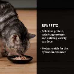 American Journey Landmark Broths Tuna, Anchovies & Whitefish Recipe Wet Cat Food Complement Pouches, 1.4 Oz Case Of 16 -Furry Friends 219488 PT3. AC SS1800 V1608226651