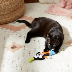 Disney Goofy Plush Kicker Cat Toy With Catnip 7 Disney Goofy Plush Kicker Cat Toy With Catnip -Furry Friends 220705 PT2. AC SS1800 V1612365245