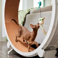 STAR WARS THE MANDALORIAN GROGU Teaser Wand Cat Toy With Catnip -Furry Friends 220787 PT3. AC SS1800 V1624648656