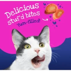 Friskies Stuf'd & Sauc'd Chicken, Tuna, Turkey, Salmon & Shrimp Variety Pack Canned Cat Food, 5.5-oz Can, Case Of 32 -Furry Friends 224442 PT4. AC SS1800 V1583356700