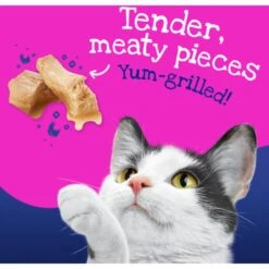 Friskies Stuf'd & Sauc'd Chicken, Tuna, Turkey, Salmon & Shrimp Variety Pack Canned Cat Food, 5.5-oz Can, Case Of 32 -Furry Friends 224442 PT5. AC SS1800 V1583356680