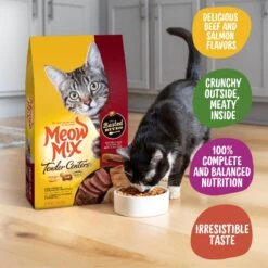 Meow Mix Tender Centers Basted Bites Beef & Salmon Flavors Dry Cat Food -Furry Friends 225314 PT2. AC SS1800 V1661377880