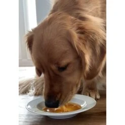 Caru Daily Dish Beef Broth Human-Grade Dog & Cat Wet Food Topper, 1.1-lb Bottle -Furry Friends 227869 PT3. AC SS1800 V1700674702