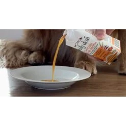 Caru Daily Dish Beef Broth Human-Grade Dog & Cat Wet Food Topper, 1.1-lb Bottle -Furry Friends 227869 PT5. AC SS1800 V1700674706