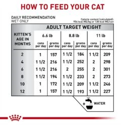 Royal Canin Veterinary Diet Kitten Gastrointestinal Ultra Soft Mousse In Sauce Canned Cat Food -Furry Friends 228177 PT6. AC SS1800 V1691438213