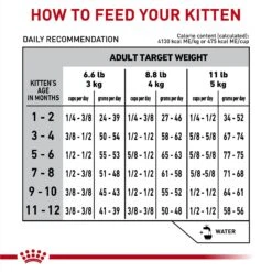 Royal Canin Veterinary Diet Kitten Gastrointestinal Dry Cat Food 18 Royal Canin Veterinary Diet Kitten Gastrointestinal Dry Cat Food -Furry Friends 228179 PT7. AC SS1800 V1691438121