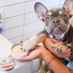 Skout's Honor Prebiotic Dog & Cat Balm -Furry Friends 228607 PT4. AC SS1800 V1658219139