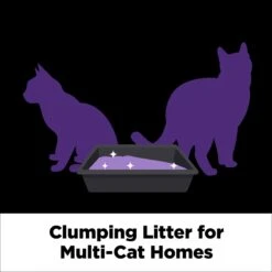 Arm & Hammer Litter SLIDE Platinum Easy Clean-Up Multi-Cat Clumping Cat Litter -Furry Friends 229240 PT5. AC SS1800 V1663797566