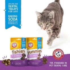 ARM & HAMMER PRODUCTS Fishies Tartar Control Extra Small Salmon Flavor Cat Dental Treats 15 ARM & HAMMER PRODUCTS Fishies Tartar Control Extra Small Salmon Flavor Cat Dental Treats -Furry Friends 230036 PT6. AC SS1800 V1596471652