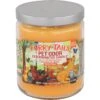 Pet Odor Exterminator Furry Tails Deodorizing Dog & Cat Candle, 13-oz Jar -Furry Friends 230625 MAIN. AC SS1800 V1628687784