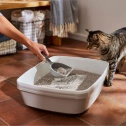 Frisco Lightweight Scented Clumping Cat Litter -Furry Friends 230718 PT4. AC SS1800 V1659023572