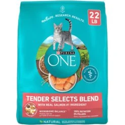Purina ONE Tender Selects Blend With Real Salmon Dry Cat Food