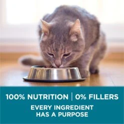 Purina ONE Tender Selects Blend With Real Salmon Dry Cat Food -Furry Friends 231097 PT6. AC SS1800 V1677532830