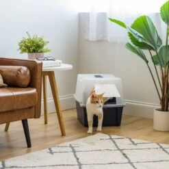 IRIS USA Enclosed With Front Door Flap & Scoop Cat Litter Box 16 IRIS USA Enclosed With Front Door Flap & Scoop Cat Litter Box -Furry Friends 231660 PT5. AC SS1800 V1680811968