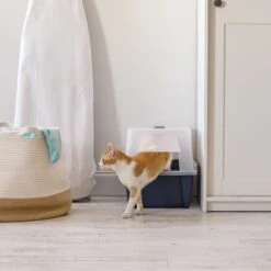 IRIS USA Enclosed With Front Door Flap & Scoop Cat Litter Box 17 IRIS USA Enclosed With Front Door Flap & Scoop Cat Litter Box -Furry Friends 231660 PT6. AC SS1800 V1680812032