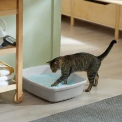 Frisco Micro Crystal Unscented Non-Clumping Crystal Cat Litter -Furry Friends 232121 PT4. AC SS1800 V1659546416