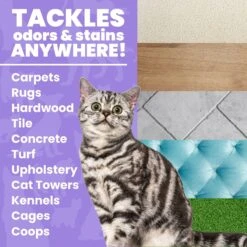 Unique Pet Care Sweet Tangerine Cat Odor + Stain Remover, 24-oz Bottle 13 Unique Pet Care Sweet Tangerine Cat Odor + Stain Remover, 24-oz Bottle -Furry Friends 232913 PT2. AC SS1800 V1700689208