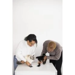 Pearhead Clean-Touch Ink Pad -Furry Friends 233353 PT4. AC SS1800 V1689974892