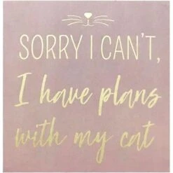 New View "Sorry I Can't, I Have Plans With My Cat" Box Sign
