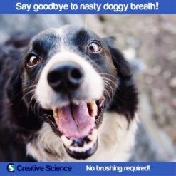 Creative Science BreathaLyser Dog & Cat Dental Water Additive -Furry Friends 233617 PT6. AC SS1800 V1673379220