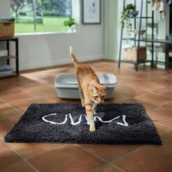 Frisco Microfiber Chenille Fish Bone Litter Mat 11 Frisco Microfiber Chenille Fish Bone Litter Mat -Furry Friends 236242 PT3. AC SS1800 V1676556249