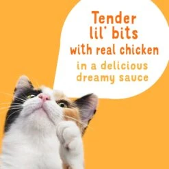 Friskies Lil Slurprises With Shredded Chicken In Dreamy Sauce Wet Cat Food Topper -Furry Friends 237922 PT3. AC SS1800 V1695845918