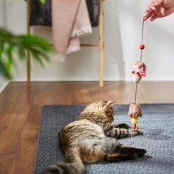 STAR WARS GALACTIC EMPIRE Ice Cream Scoops Bouncy Cat Toy With Catnip -Furry Friends 239883 PT3. AC SS1800 V1624648377