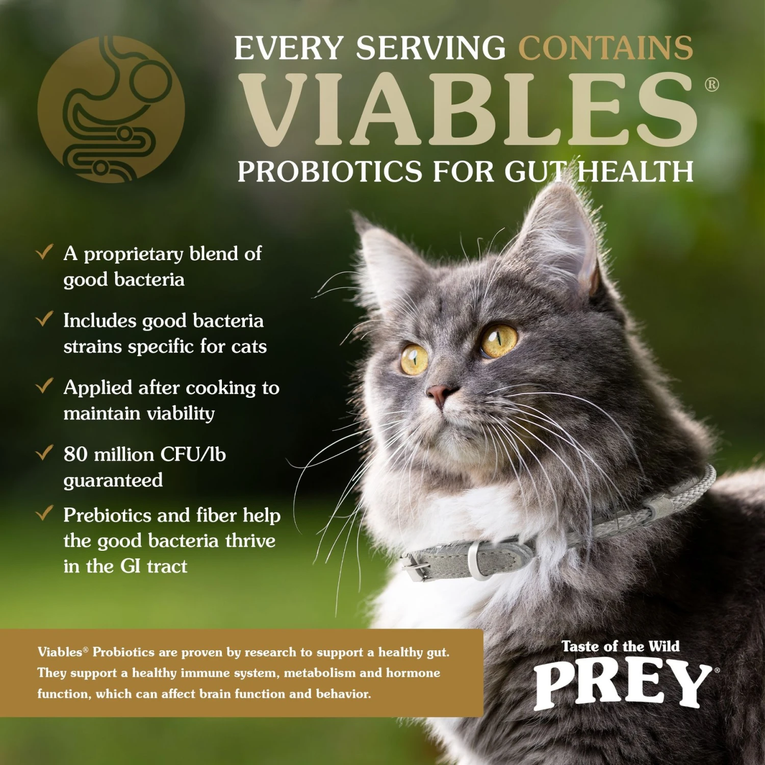 Taste Of The Wild PREY Turkey Formula Limited Ingredient Recipe Dry Cat Food 8 Taste Of The Wild PREY Turkey Formula Limited Ingredient Recipe Dry Cat Food - Image 6