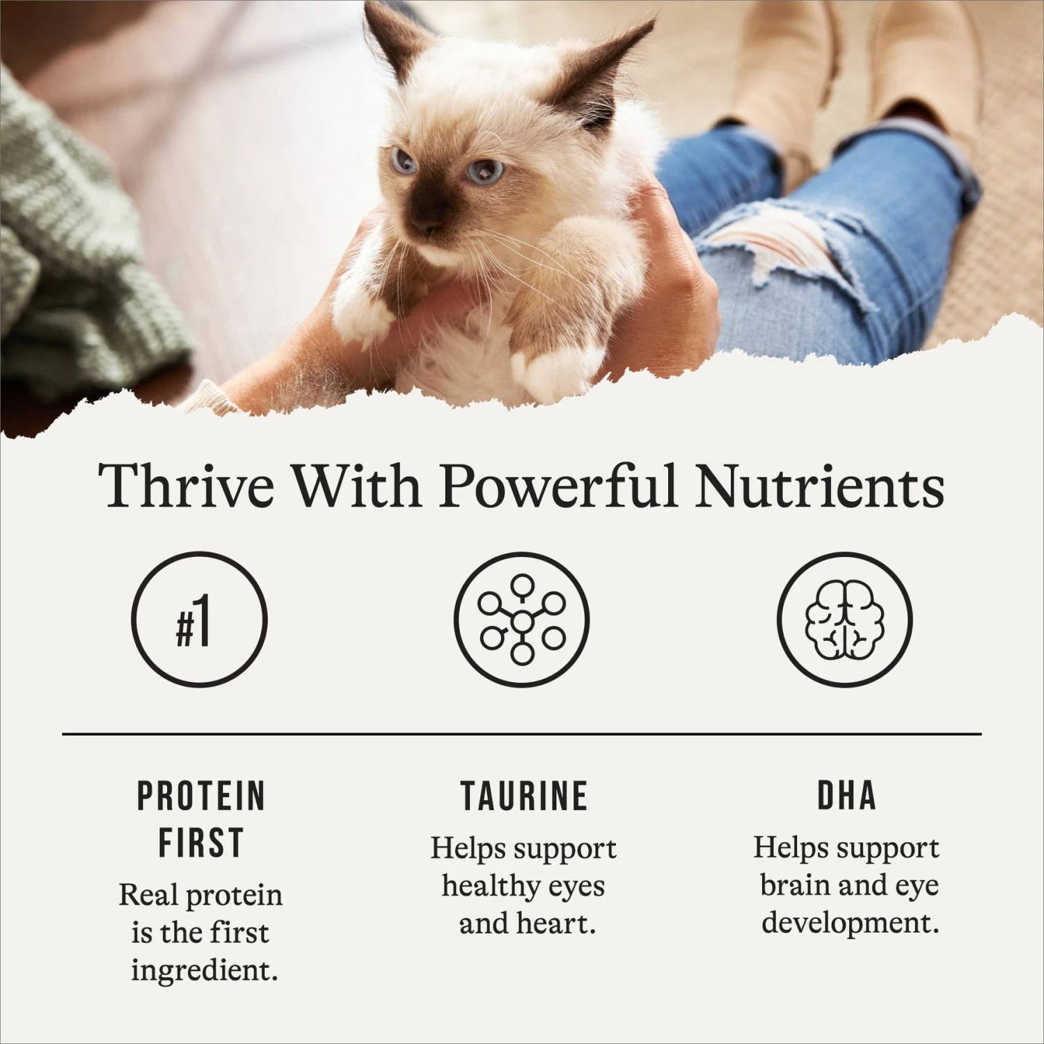 American Journey Kitten Pate Chicken Recipe Grain-Free Canned Cat Food, 3-oz, Case Of 24 8 American Journey Kitten Pate Chicken Recipe Grain-Free Canned Cat Food, 3-oz, Case Of 24 - Image 6