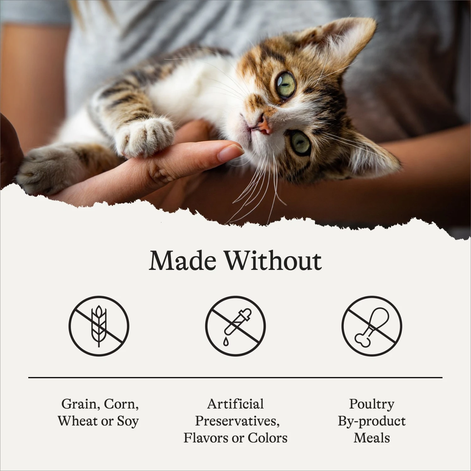 American Journey Kitten Pate Chicken Recipe Grain-Free Canned Cat Food, 3-oz, Case Of 24 10 American Journey Kitten Pate Chicken Recipe Grain-Free Canned Cat Food, 3-oz, Case Of 24 - Image 8