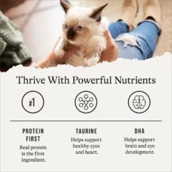 American Journey Kitten Minced Chicken Recipe in Gravy Grain-Free Canned Cat Food, 3-oz, Case Of 24 16 American Journey Kitten Minced Chicken Recipe in Gravy Grain-Free Canned Cat Food, 3-oz, Case Of 24 -Furry Friends 242874 PT5. AC SS1800 V1689951401