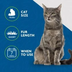 FURminator Short Hair Cat Deshedding Tool -Furry Friends 243254 PT5. AC SS1800 V1701116729