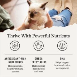 American Journey Kitten Chicken Recipe Grain-Free Dry Cat Food, 5-lb Bag 15 American Journey Kitten Chicken Recipe Grain-Free Dry Cat Food, 5-lb Bag -Furry Friends 243722 PT4. AC SS1800 V1668736254