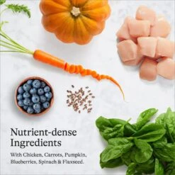 American Journey Kitten Chicken Recipe Grain-Free Dry Cat Food, 5-lb Bag 16 American Journey Kitten Chicken Recipe Grain-Free Dry Cat Food, 5-lb Bag -Furry Friends 243722 PT5. AC SS1800 V1680787128