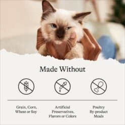 American Journey Kitten Chicken Recipe Grain-Free Dry Cat Food, 5-lb Bag 17 American Journey Kitten Chicken Recipe Grain-Free Dry Cat Food, 5-lb Bag -Furry Friends 243722 PT6. AC SS1800 V1680787128