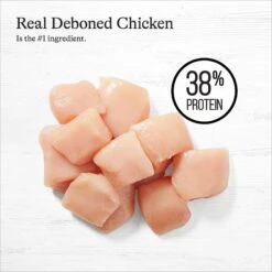 American Journey Indoor Recipe With Chicken Grain-Free Dry Cat Food, 12-lb Bag 14 American Journey Indoor Recipe With Chicken Grain-Free Dry Cat Food, 12-lb Bag -Furry Friends 243724 PT3. AC SS1800 V1668736374