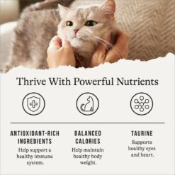 American Journey Indoor Recipe With Chicken Grain-Free Dry Cat Food, 12-lb Bag 15 American Journey Indoor Recipe With Chicken Grain-Free Dry Cat Food, 12-lb Bag -Furry Friends 243724 PT4. AC SS1800 V1668737293