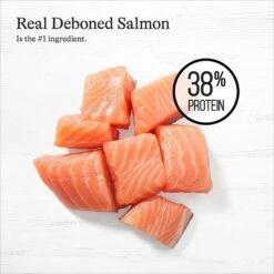 American Journey Indoor Recipe With Salmon Grain-Free Dry Cat Food, 12-lb Bag -Furry Friends 243726 PT3. AC SS1800 V1668736316