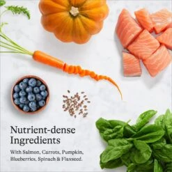 American Journey Indoor Recipe With Salmon Grain-Free Dry Cat Food, 12-lb Bag -Furry Friends 243726 PT5. AC SS1800 V1680787130
