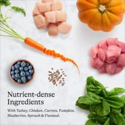 American Journey Indoor Recipe With Turkey & Chicken Grain-Free Dry Cat Food, 12-lb Bag 16 American Journey Indoor Recipe With Turkey & Chicken Grain-Free Dry Cat Food, 12-lb Bag -Furry Friends 243728 PT5. AC SS1800 V1680787105