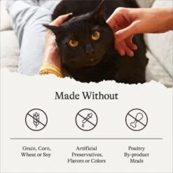 American Journey Indoor Recipe With Turkey & Chicken Grain-Free Dry Cat Food, 12-lb Bag 17 American Journey Indoor Recipe With Turkey & Chicken Grain-Free Dry Cat Food, 12-lb Bag -Furry Friends 243728 PT6. AC SS1800 V1680787127