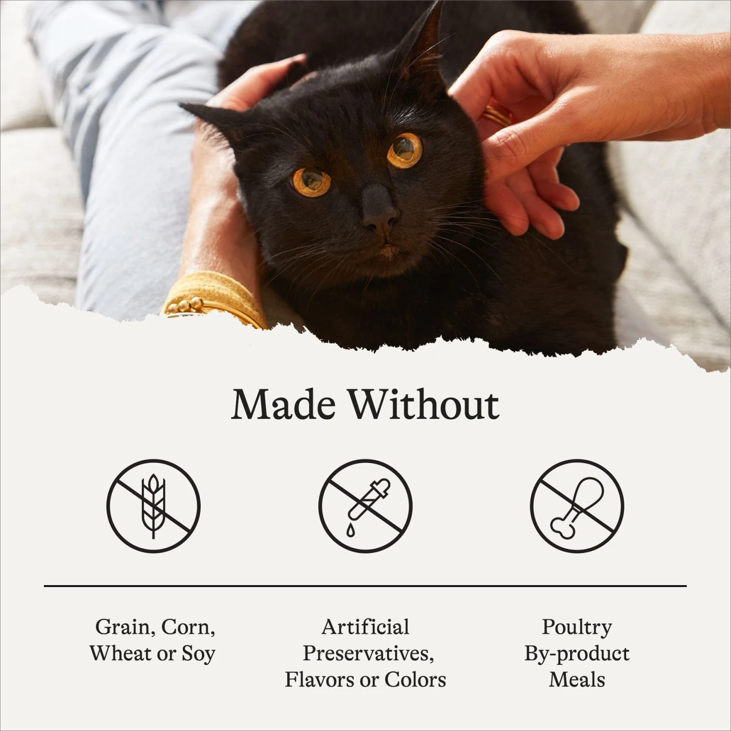 American Journey Indoor Recipe With Turkey & Chicken Grain-Free Dry Cat Food, 12-lb Bag 9 American Journey Indoor Recipe With Turkey & Chicken Grain-Free Dry Cat Food, 12-lb Bag - Image 7