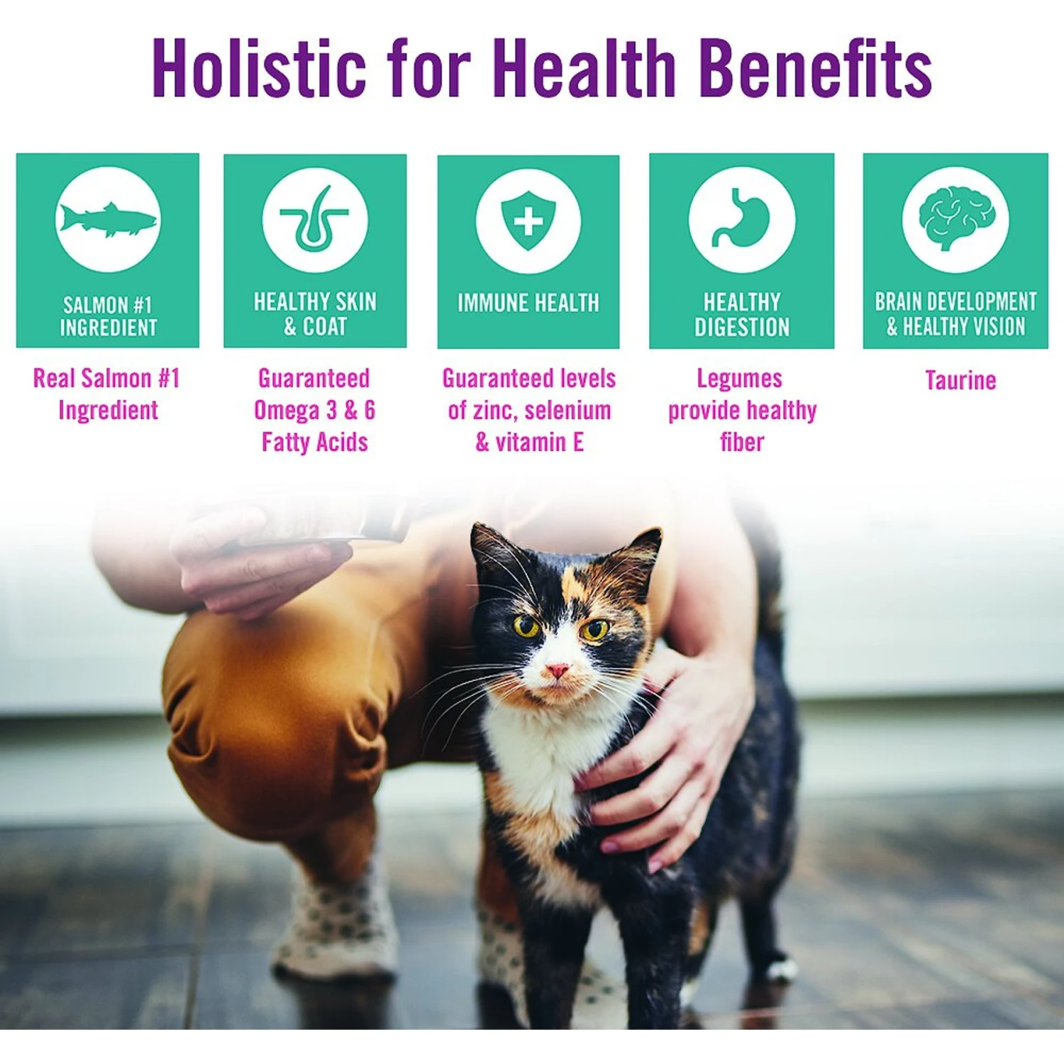 Chicken Soup For The Soul Salmon & Legumes Recipe Grain-Free Dry Cat Food 8 Chicken Soup For The Soul Salmon & Legumes Recipe Grain-Free Dry Cat Food - Image 6