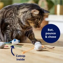 Frisco Mice Plush Cat Toy With Catnip -Furry Friends 245899 PT2. AC SS1800 V1678723852