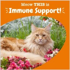 Zesty Paws Aller-Immune Bites Bacon Flavored Supplement For Cats -Furry Friends 249421 PT4. AC SS1800 V1696961186