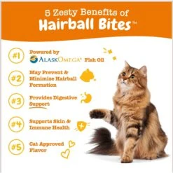 Zesty Paws Hairball Bites Bacon Flavored Soft Chews Digestive Supplement For Cats -Furry Friends 249423 PT1. AC SS1800 V1696441930